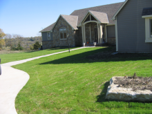 Turf Establishment - After